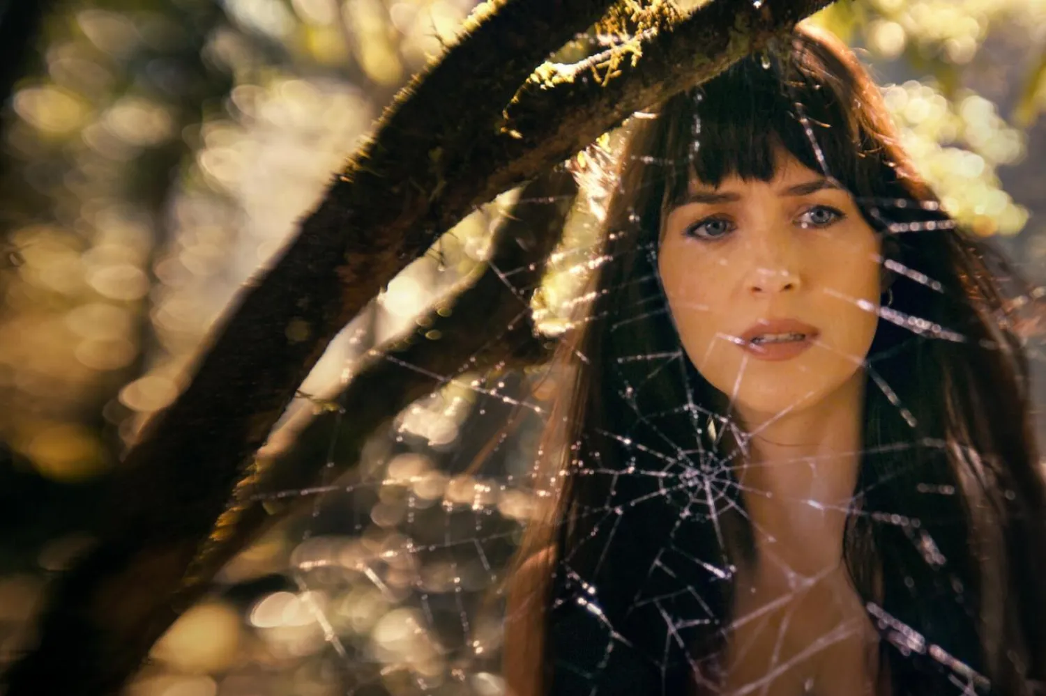 36 yaşındaki Dakota Johnson, Madame Web'de oynamak üzere imza attıktan sonra filmin "radikal değişiklikler" geçirdiğini söylemişti (Sony Pictures Releasing)