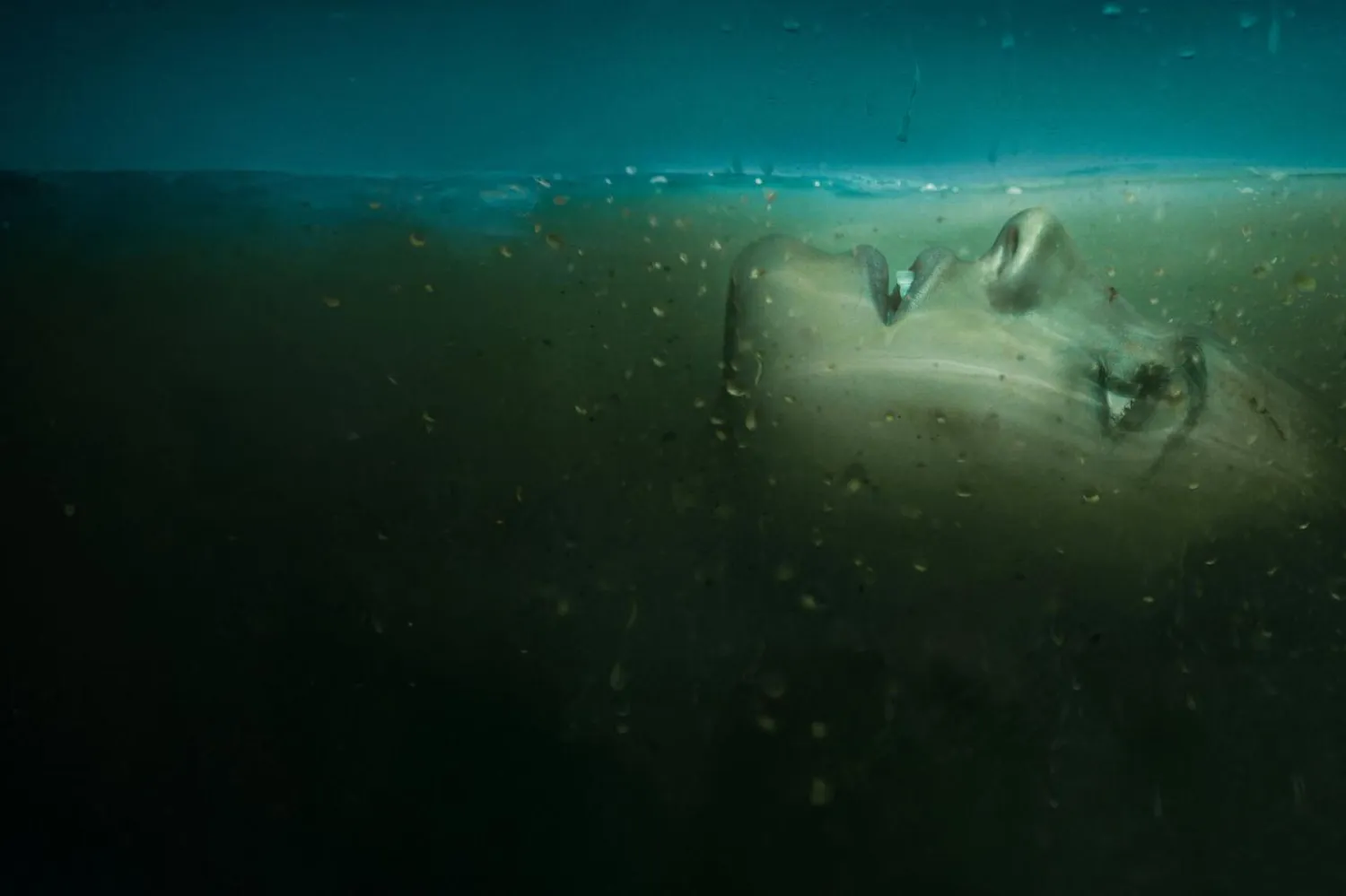 Absentia'da gıyaben ölü ilan edilen FBI ajanı, yıllar sonra bir seri katilin elinden kurtulsa da yeni bir cinayet dönüşüne gölge düşürüyor (Netflix)