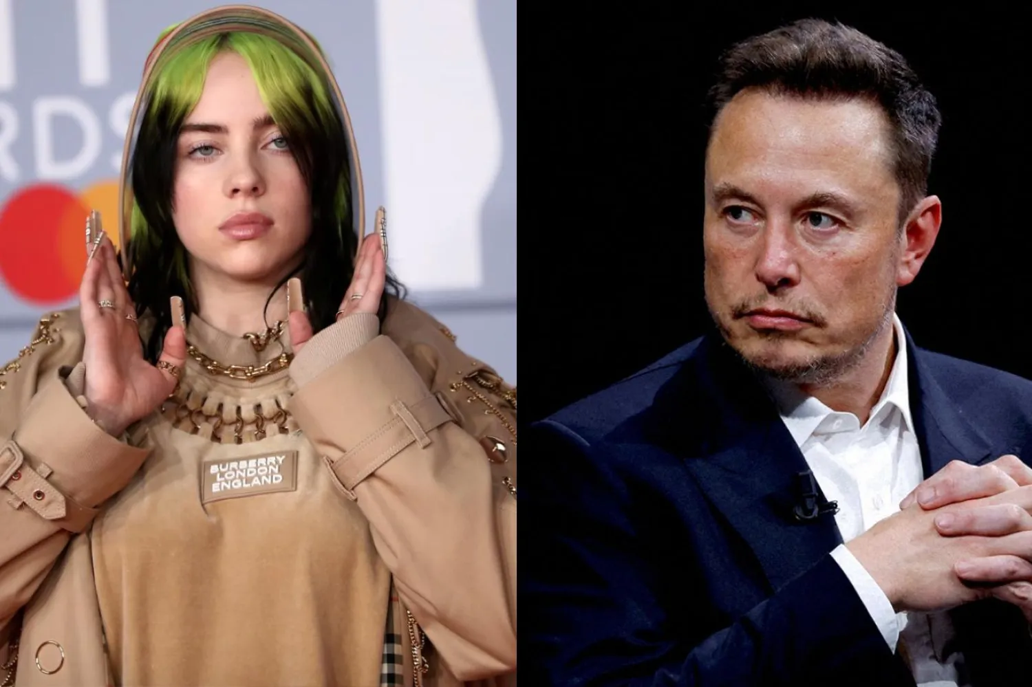 Elon Musk'tan Billie Eilish'e sert yanıt