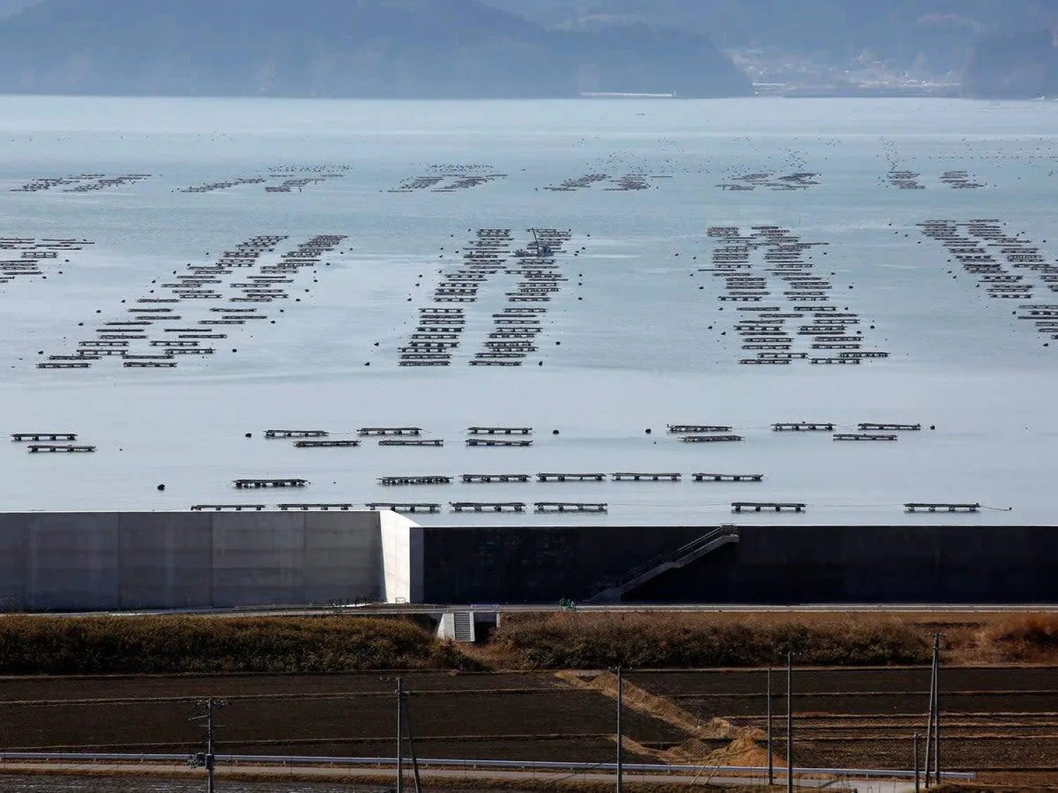 An oyster farm at Hirota Bay in Rikuzentakata, Iwate prefecture, Japan. (Reuters)