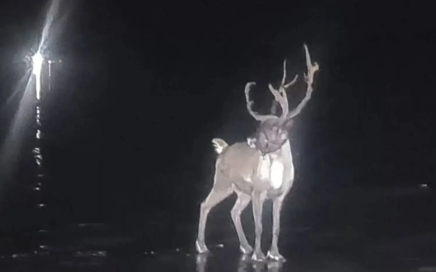 لمسة مُهدّئة أنهت ساعات من المطاردة (صندوق إنقاذ ساوثبورت البحري)