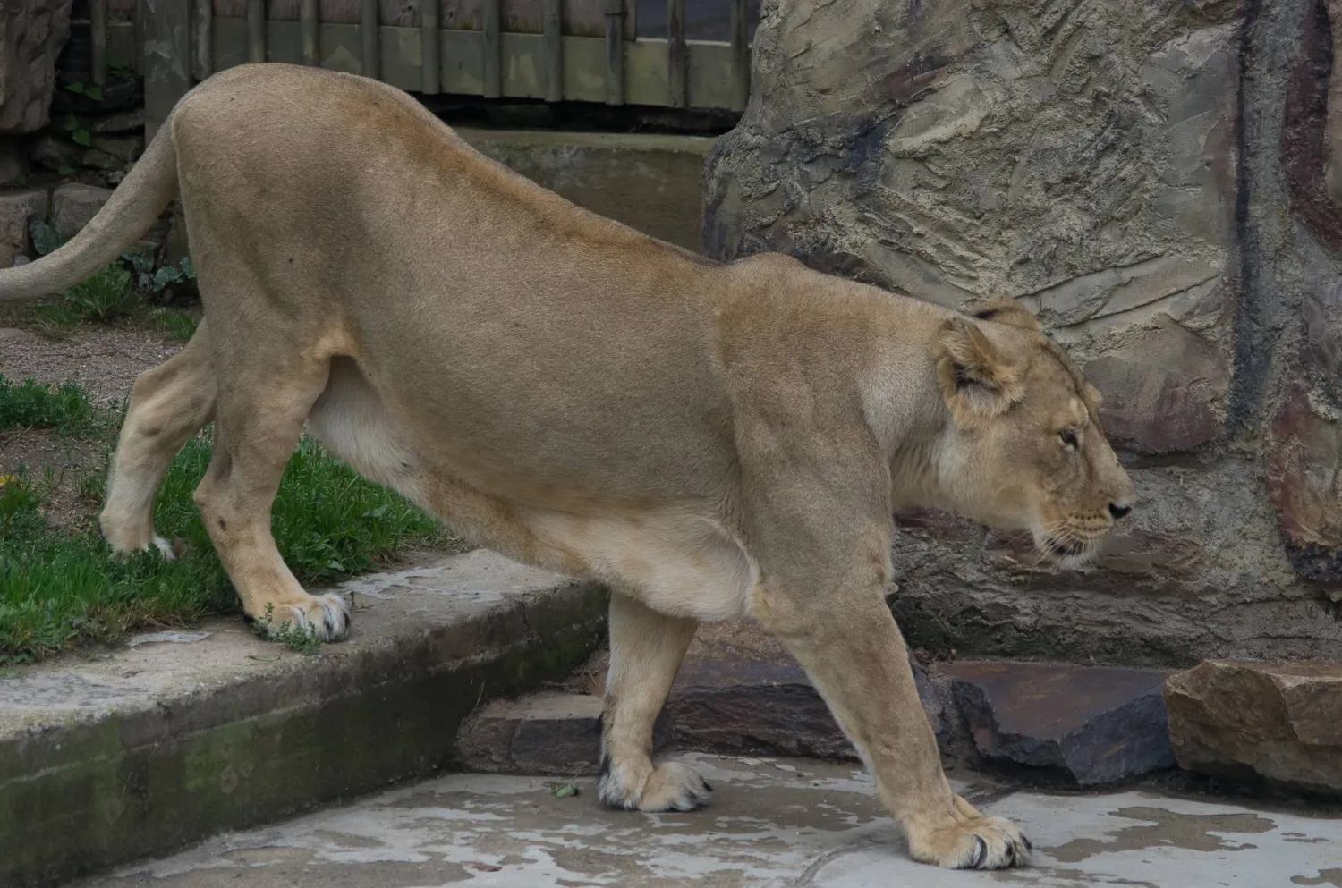حلم ينتهي بمأساة (شاترستوك)