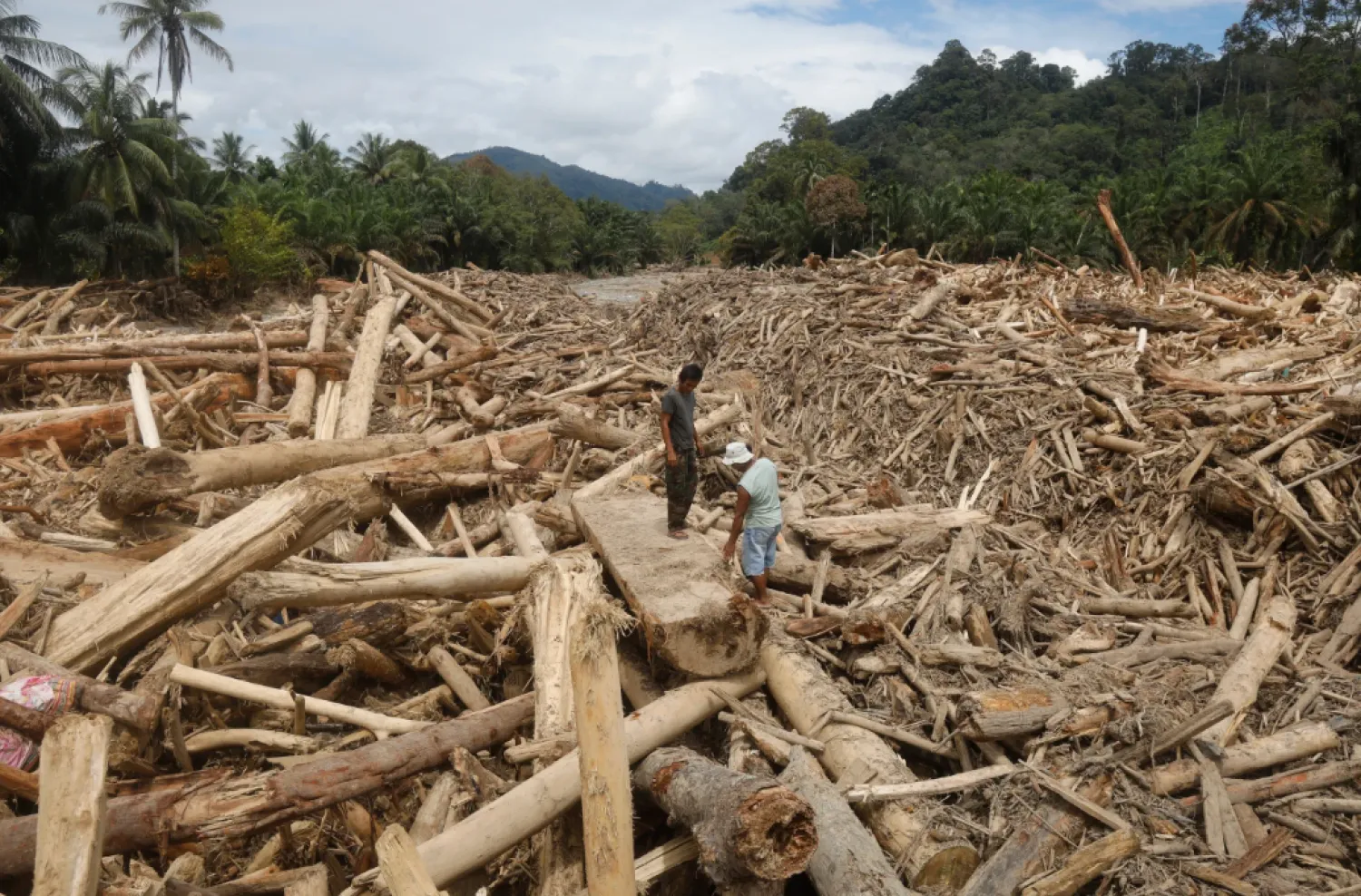   Men stand on logs swept away by flash flood in Batang Toru, North Sumatra, Indonesia, Tuesday, Dec. 2, 2025. (AP Photo/Binsar Bakkara)
