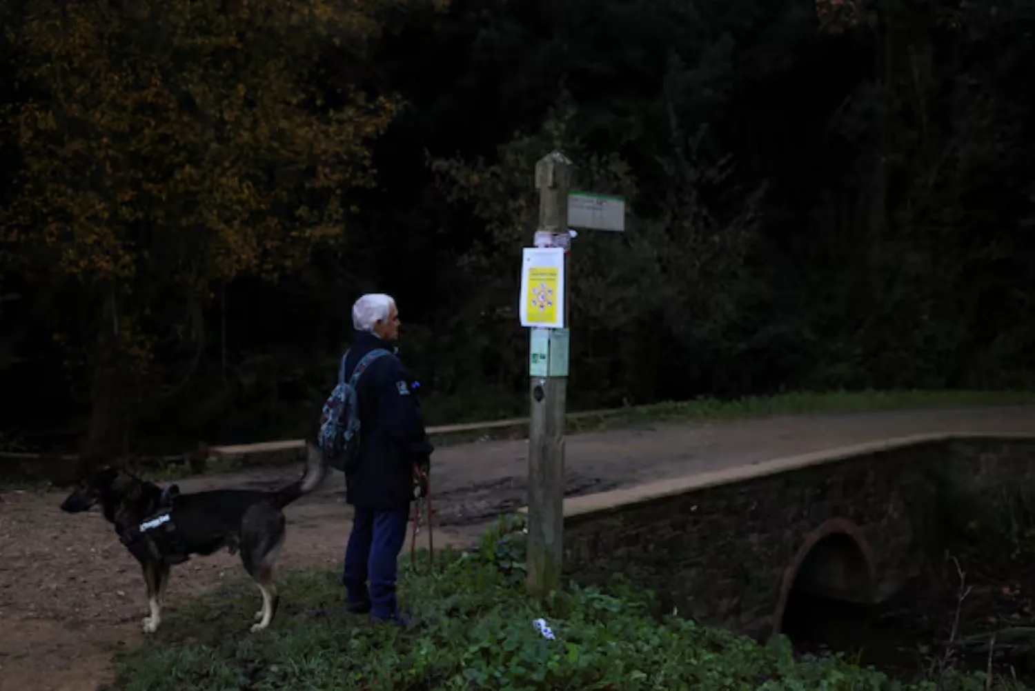 A man with dog reads a sign showing an area infected with the African swine fever virus at Collserola Park, in Cerdanyola del Valles, on the outskirts of Barcelona, Spain, December 1, 2025. REUTERS/Nacho Doce 