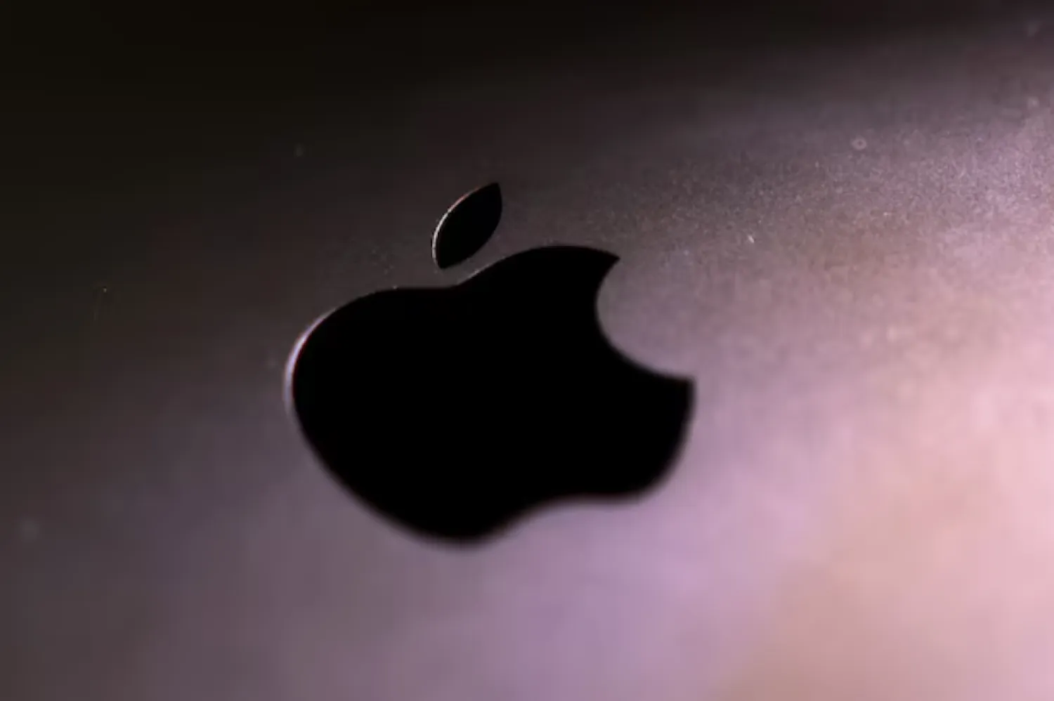 Apple logo is seen in this illustration taken September 24, 2025. REUTERS/Dado Ruvic/Illustration/File Photo 