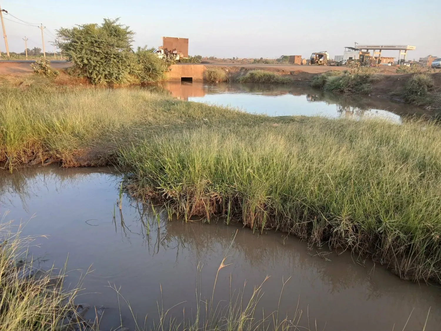 Yabani otlar sulama kanallarını doldurarak suyun çiftliklere ulaşmasını zorlaştırıyor (Şarku’l Avsat)