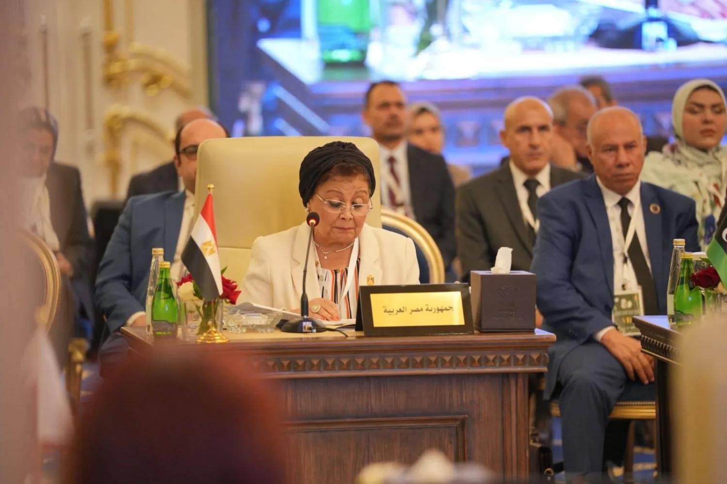 نائب وزير الصحة المصري عبلة الألفي أثناء مشاركتها في الدورة السابعة للمجلس العربي للسكان والتنمية بالعراق السبت (الصحة المصرية)