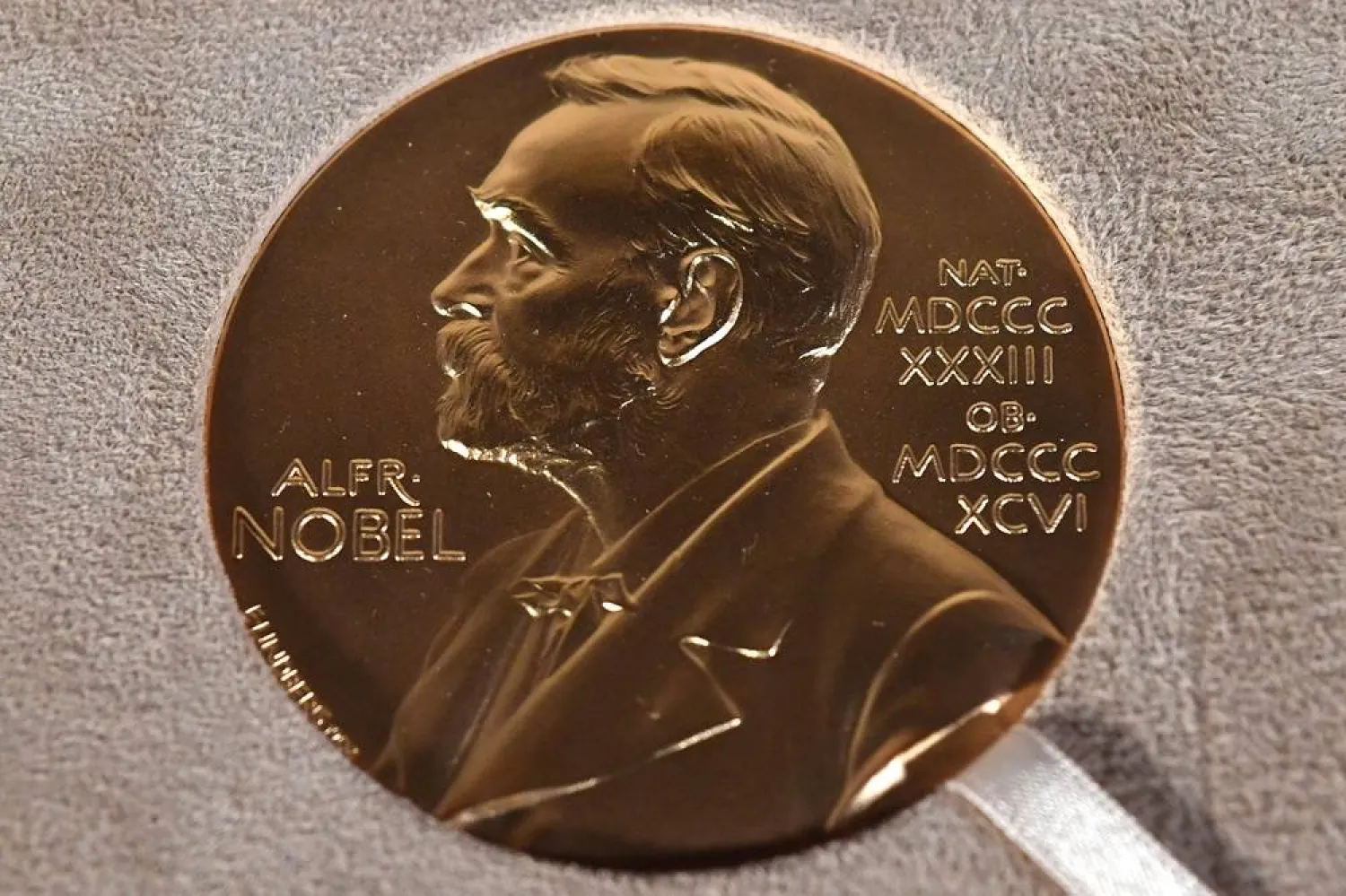 The Nobel medal in physiology or medicine presented to Charles M. Rice is displayed, Tuesday, Dec. 8, 2020, during a ceremony in New York. (AP)