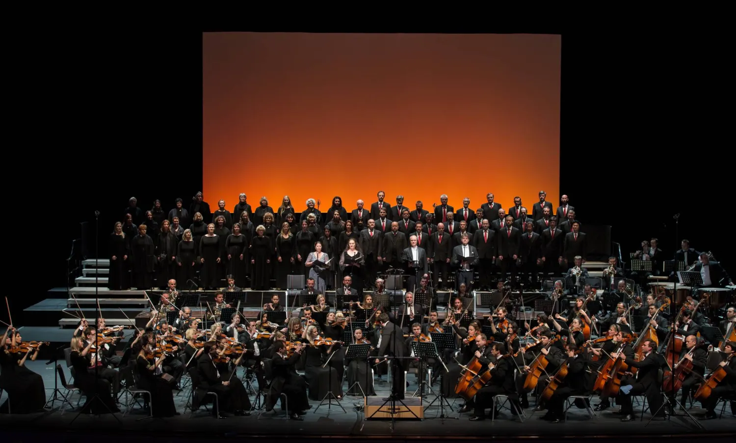 «مهرجان أبوظبي» يعود في دورته الـ23 تحت شعار «حكمة الثقافة»