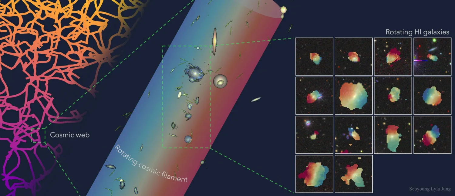 A figure depicting the rotation of neutral hydrogen in galaxies residing in an extended filament, where the galaxies exhibit a coherent bulk rotational motion tracing the large-scale cosmic web, is seen in this undated illustration obtained by Reuters on December 4, 2025. (Lyla Jung/Handout via Reuters) 