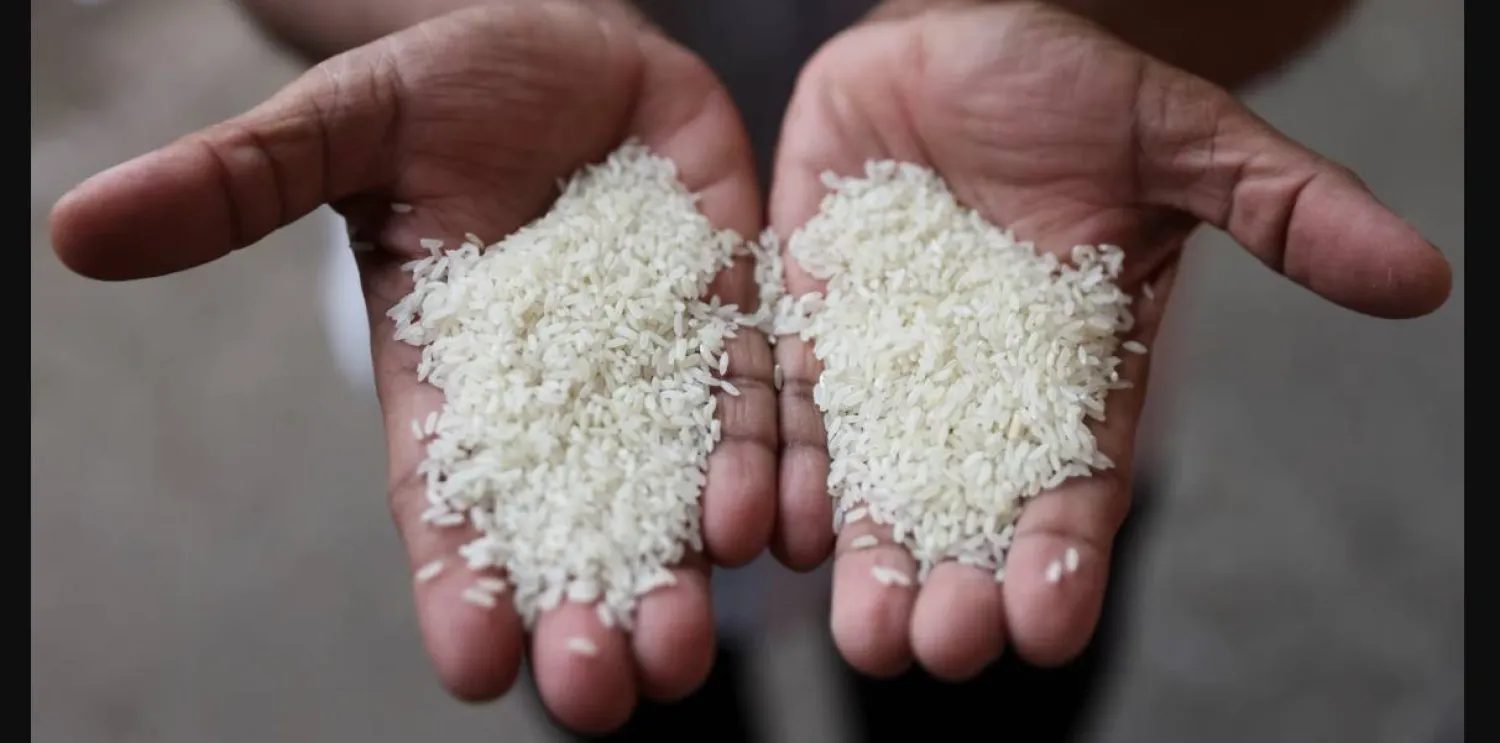 الأرز الأبيض يخضع لعمليات طحن وتلميع إضافية (رويترز)