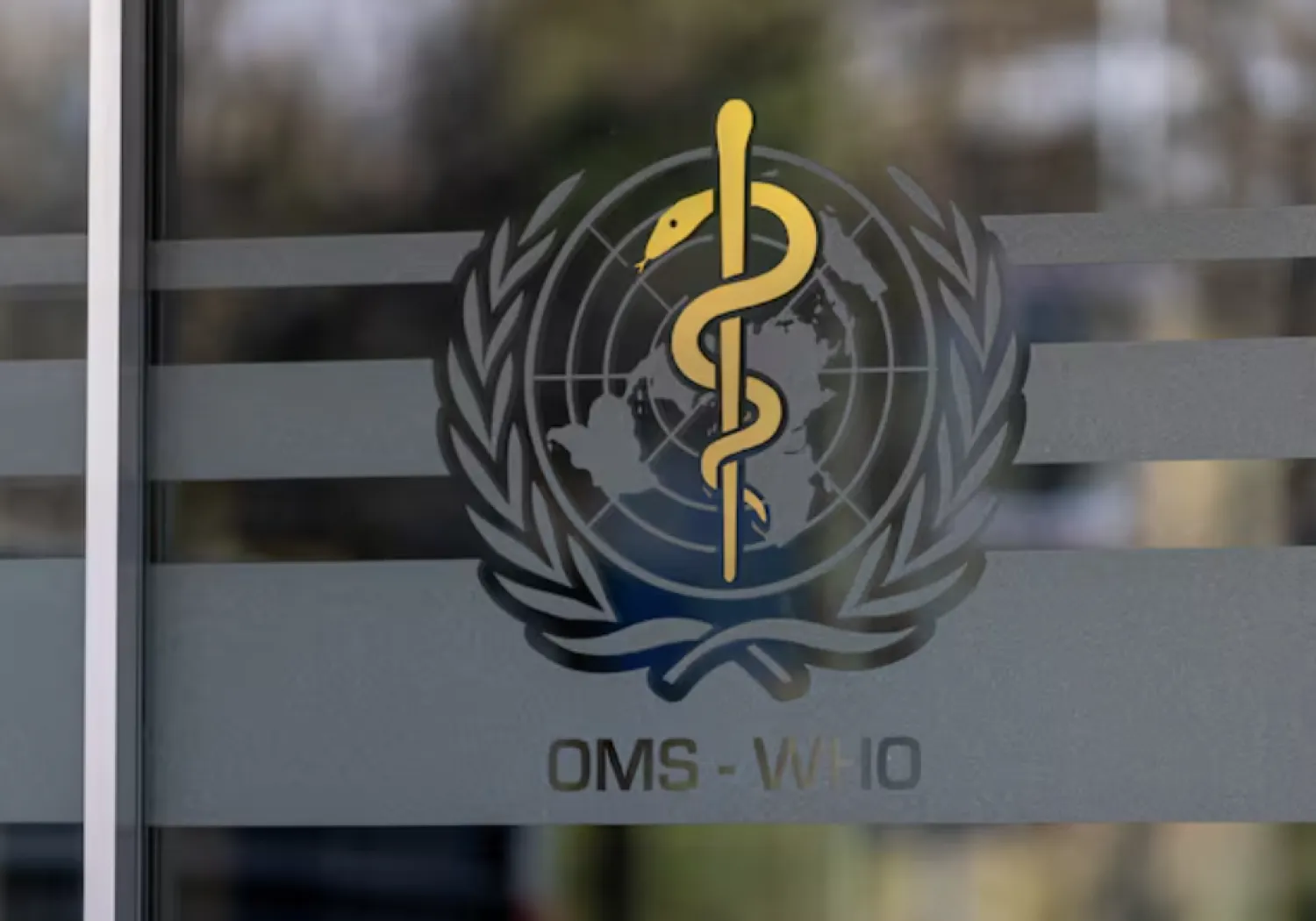The logo of the World Health Organization is seen at the WHO headquarters in Geneva, Switzerland, January 28, 2025. REUTERS/Denis Balibouse/File Photo 