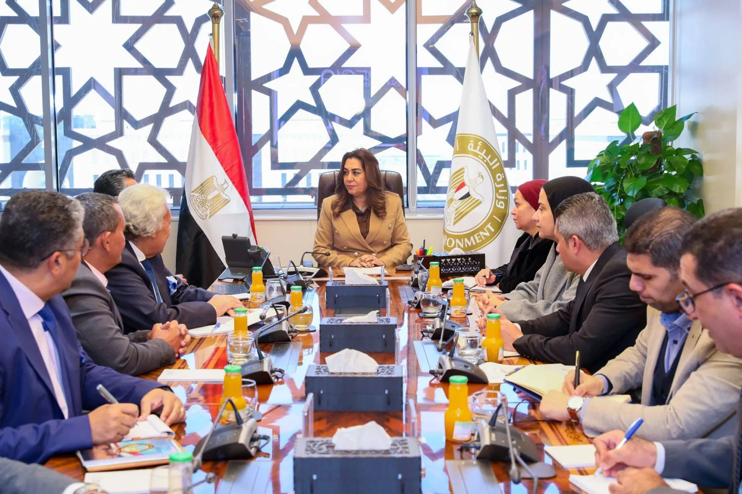 وزيرة التنمية المحلية القائمة بأعمال وزير البيئة المصرية خلال اجتماعها مع أحد المستثمرين (رئاسة مجلس الوزراء)