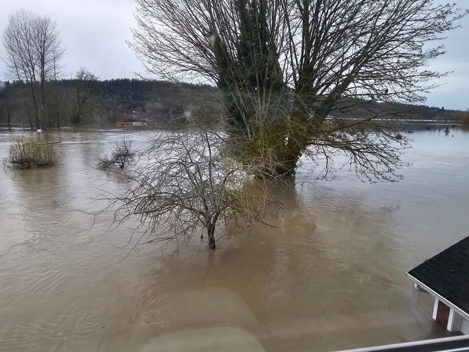 مياه الفيضانات في الولايات المتحدة (أ.ب)