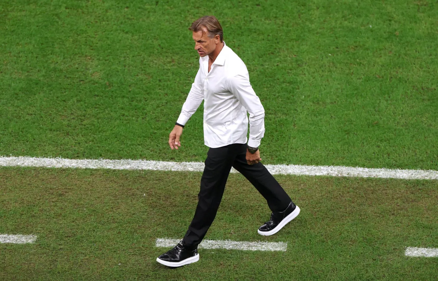 بقيادة هيرفي رينارد أحرزت زامبيا لقبها الأوّل 2012 (رويترز)