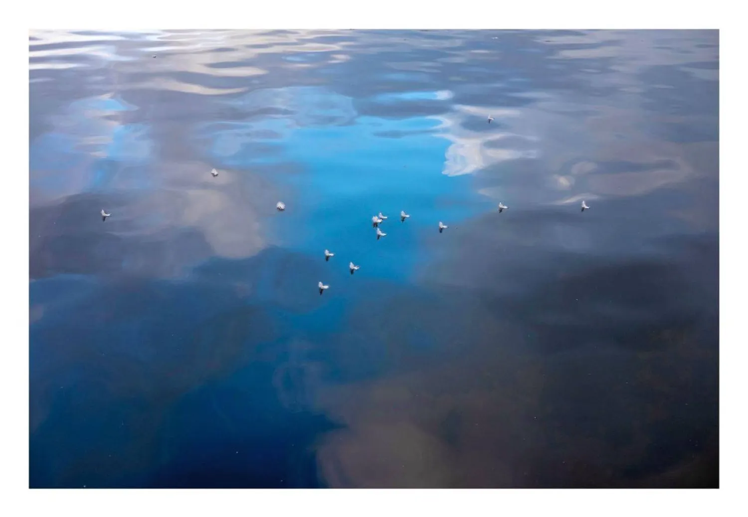 طبقات من الأزرق تترك للعين أن تُكمل الحكاية (فاديا أحمد)