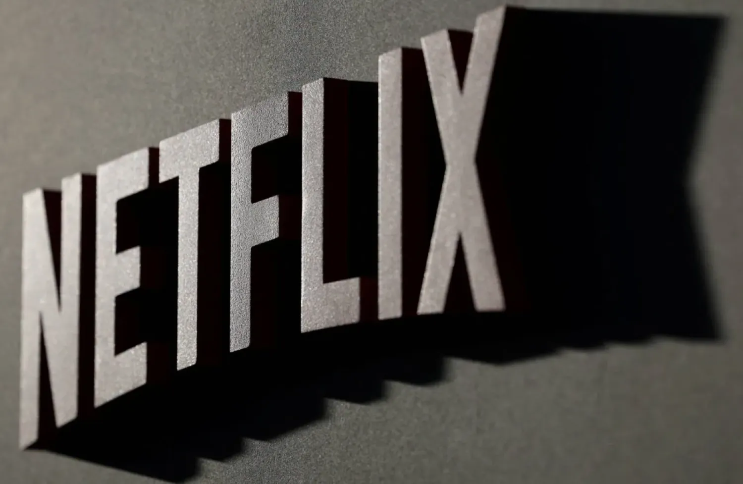 FILE PHOTO: A Netflix logo is pictured in Los Angeles, California, US, September 15, 2022. REUTERS/Mario Anzuoni/File Photo
