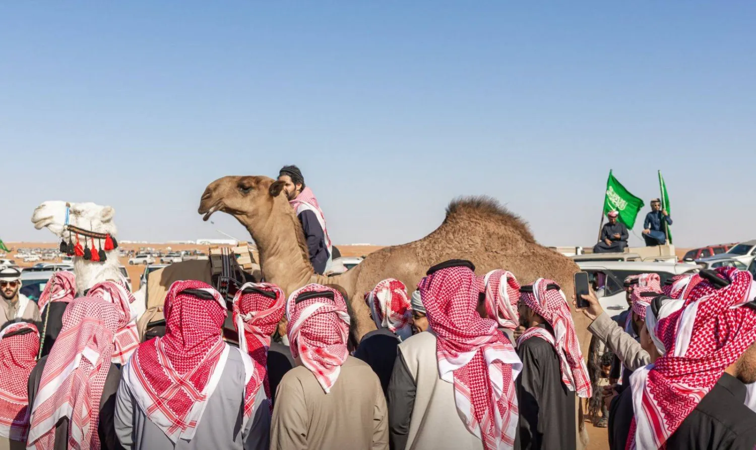 أعلنت لجنة التحكيم النهائي بمهرجان الملك عبد العزيز للإبل نتائج الفائزين في اليوم السابع عشر (واس)