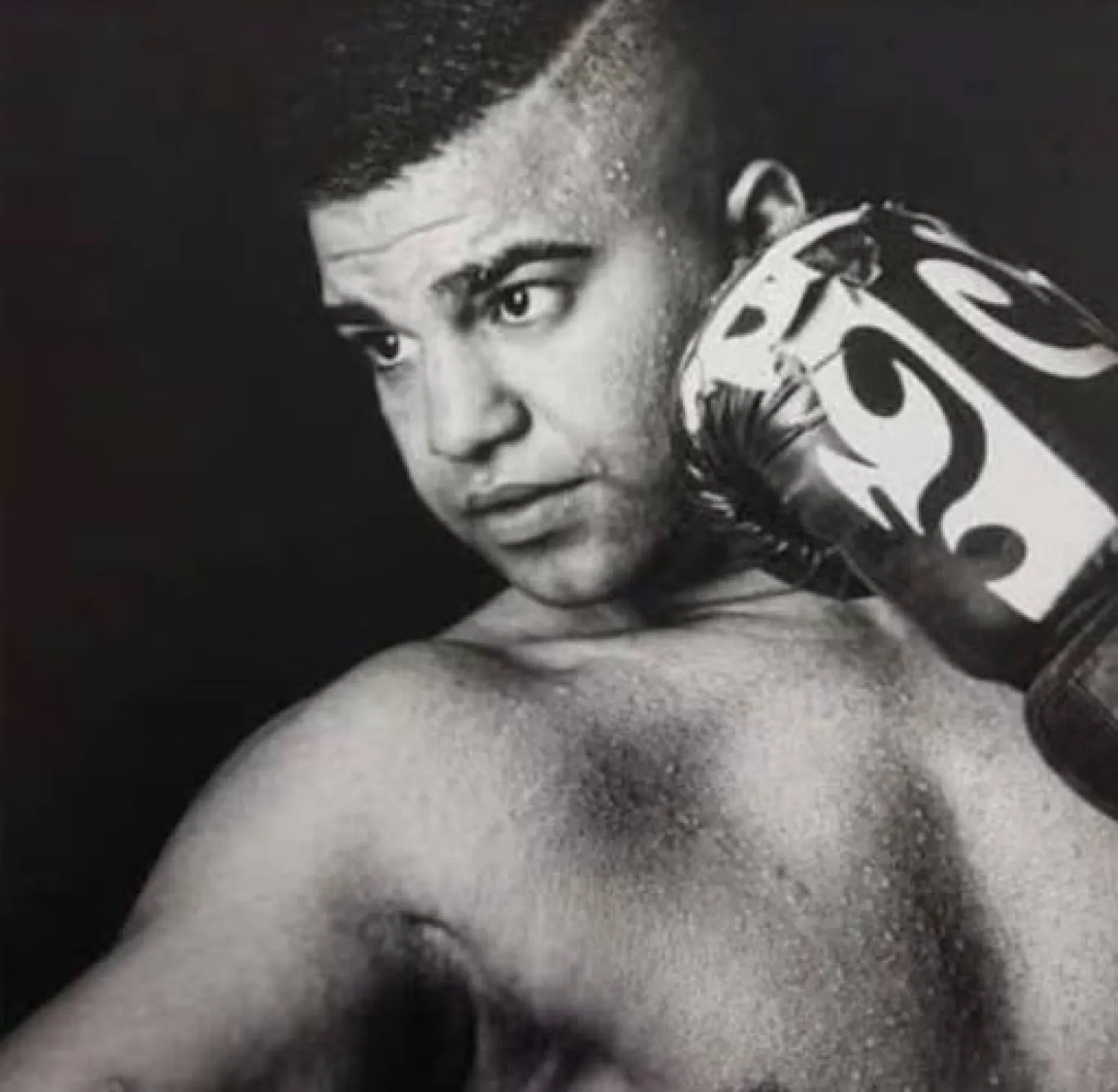 محمد وفائي (الشرق الأوسط)