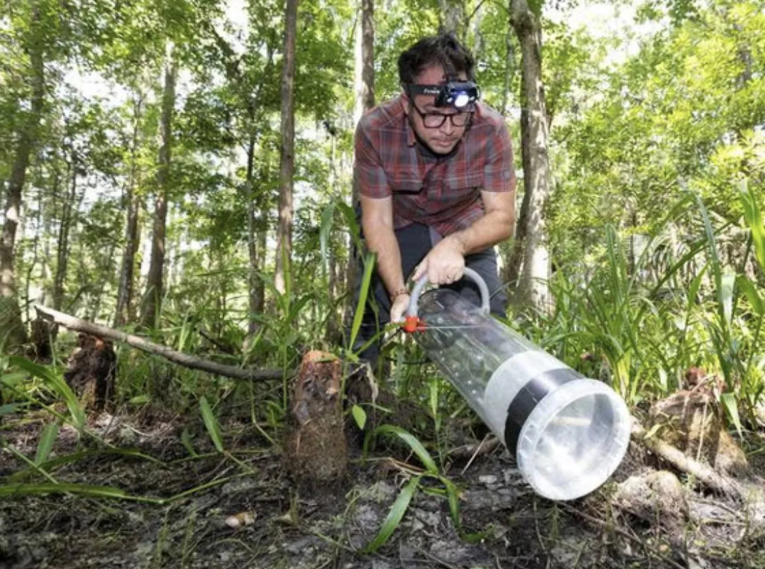 «جوراسيك بارك» يعود بصيغة علمية (جامعة فلوريدا)