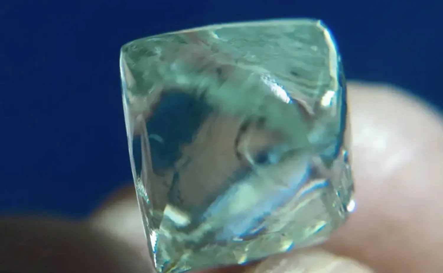 صدفة تُغيّر المصير (إنستغرام)