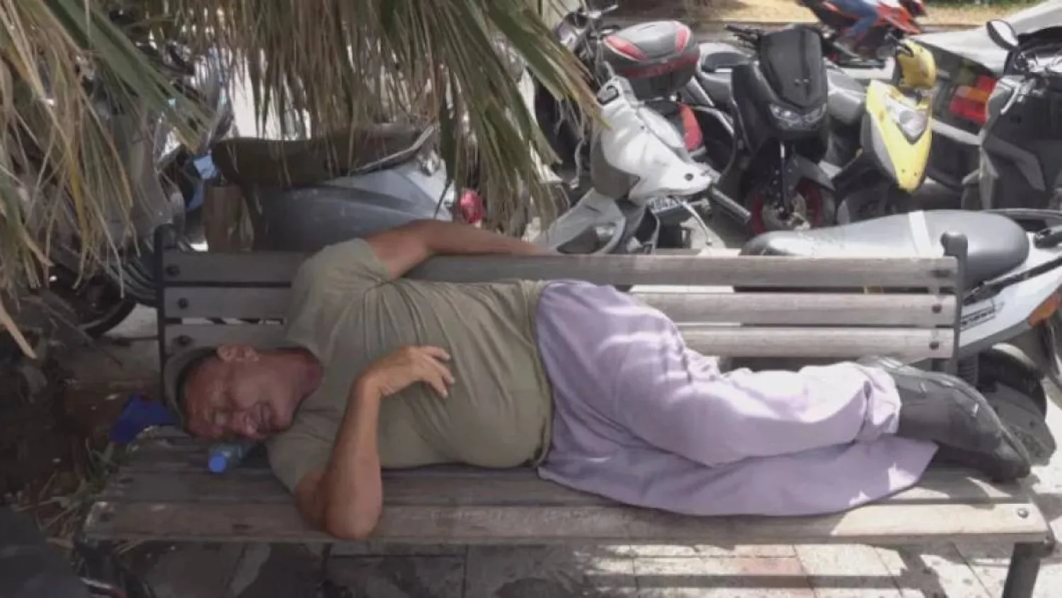 
«والأسماك» تطير فوق رؤوسنا (أرجوان فيلمز)