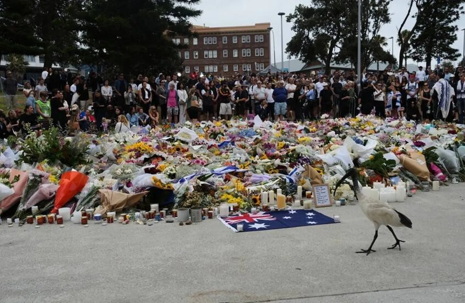 تكريم ضحايا إطلاق النار في سيدني (اب)