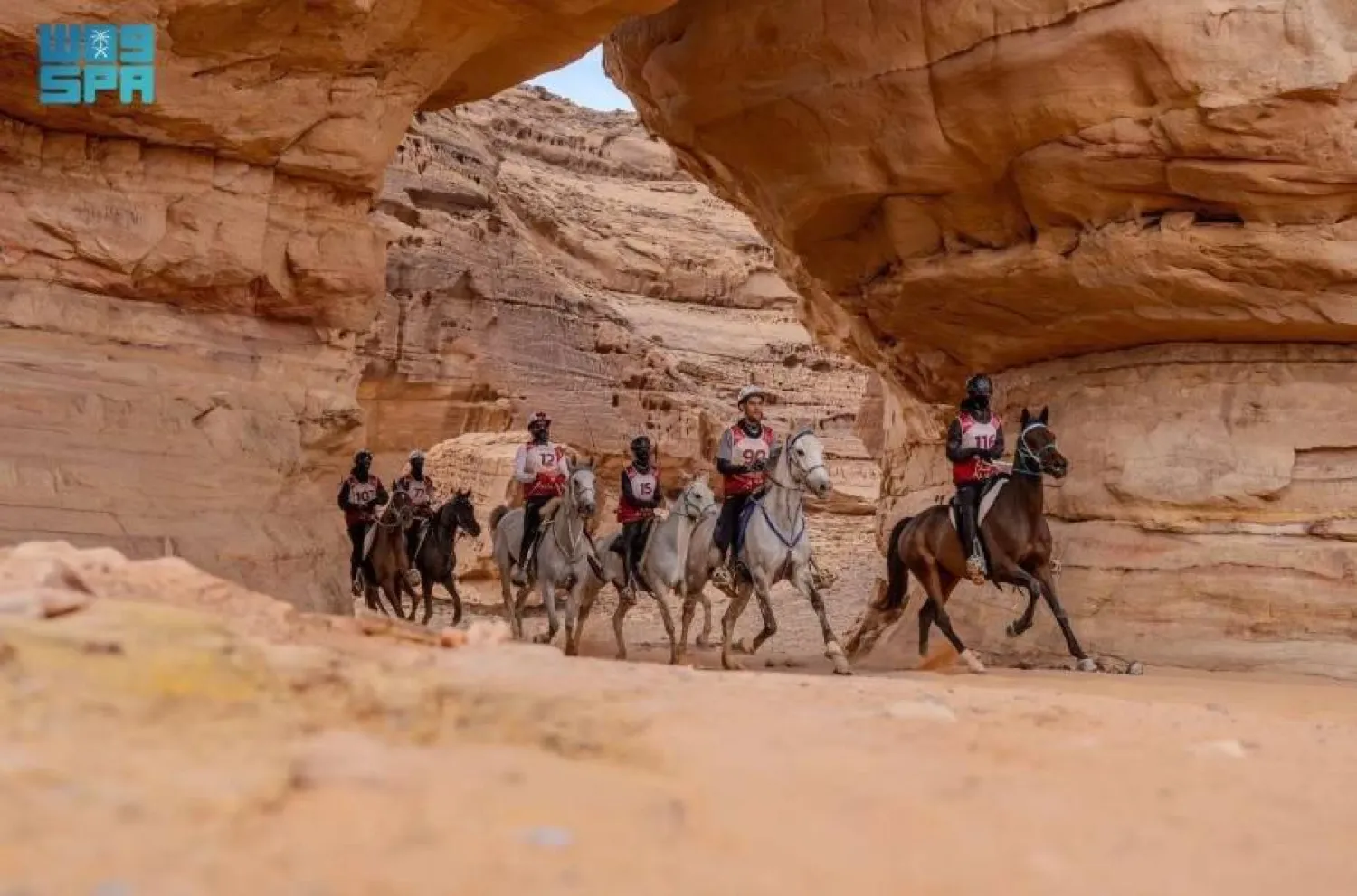 The race is organized by the Royal Commission for AlUla in partnership with the Saudi Arabian Equestrian Federation. SPA