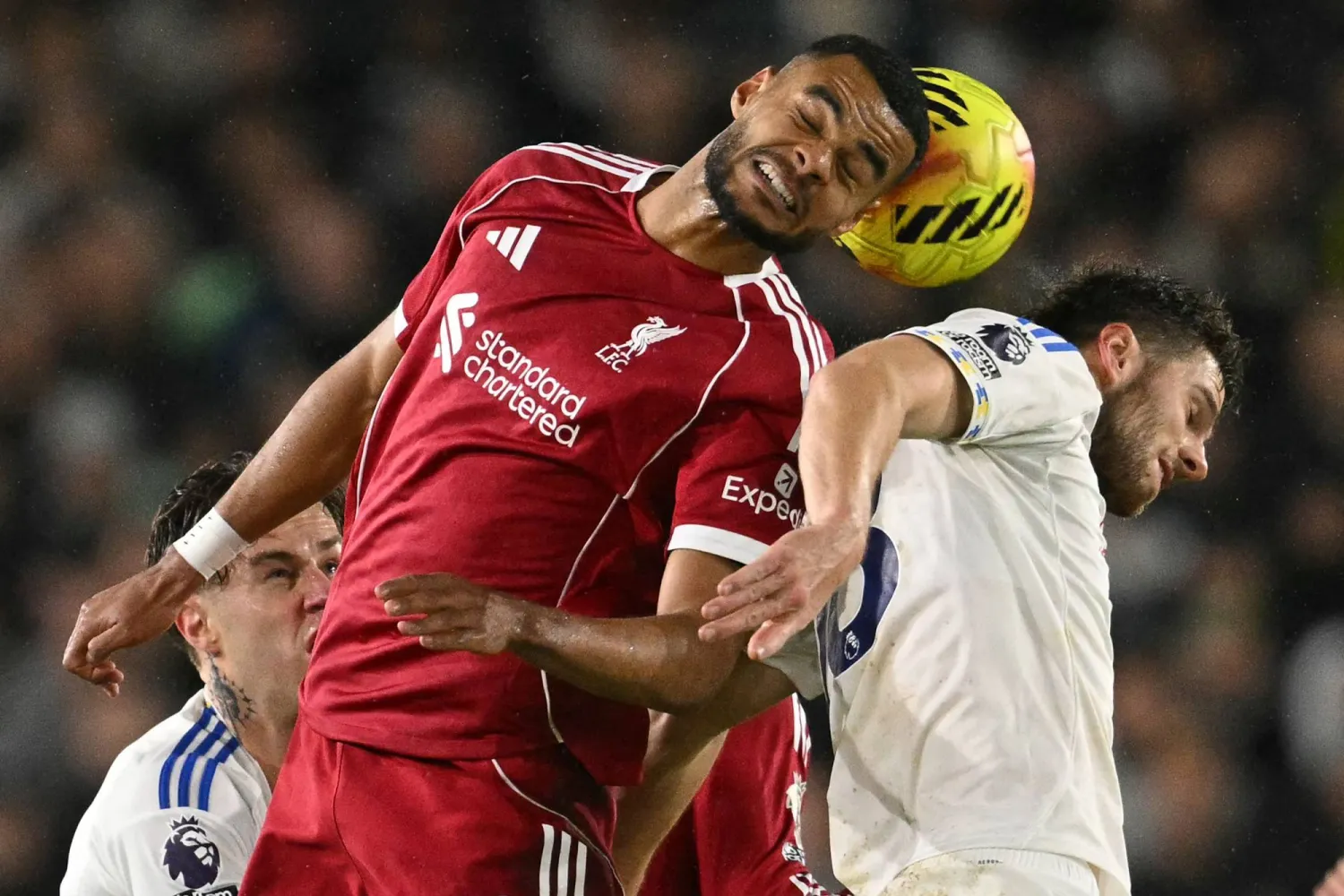 كودي خاكبو نجم ليفربول يتواصل غيابه (أ.ف.ب)