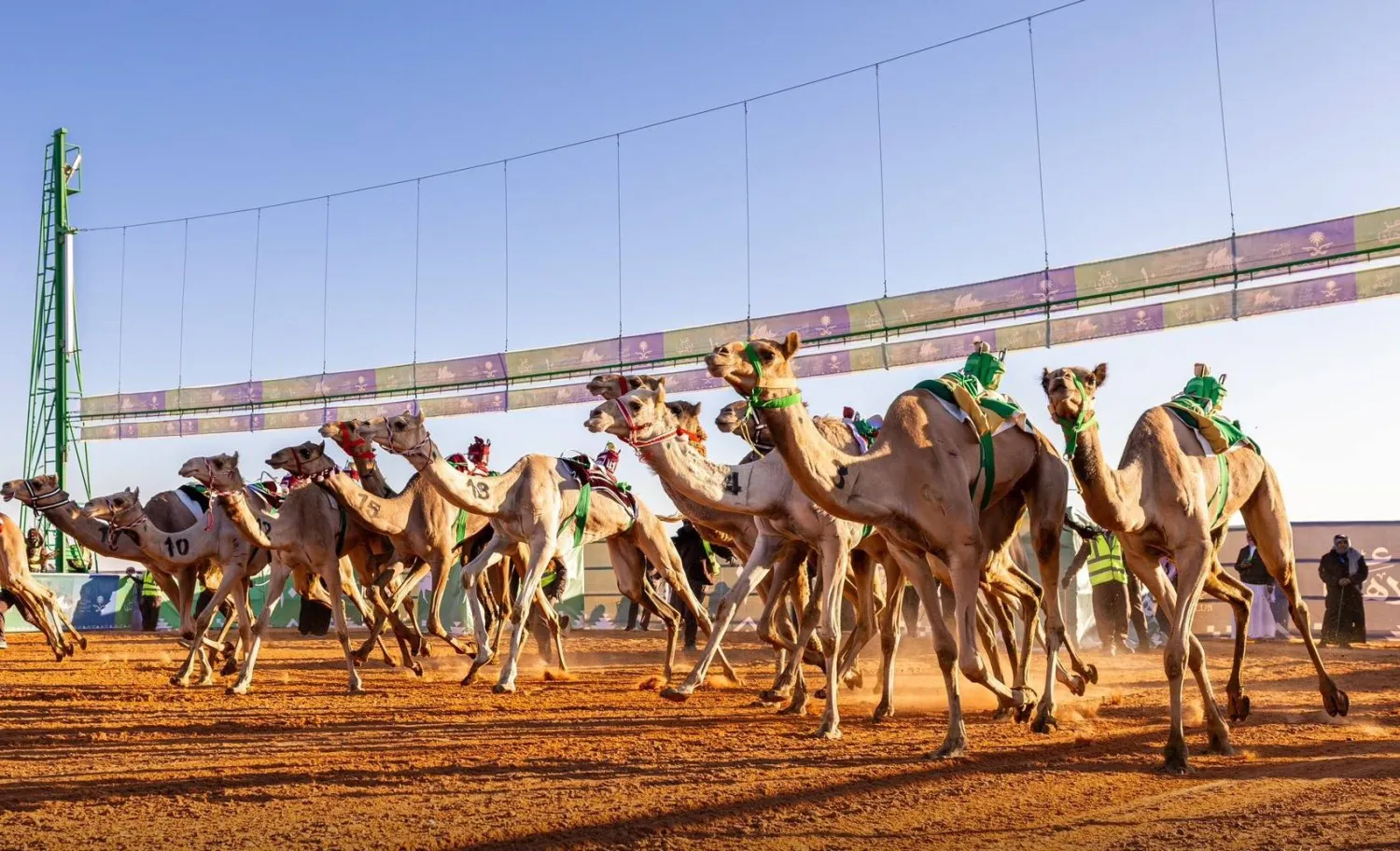 أعلنت اللجنة المنظمة لجائزة الملك عبد العزيز لسباقات الهجن أسماء الفائزين بالمراكز الأولى في فئة اللقايا (نادي الإبل)