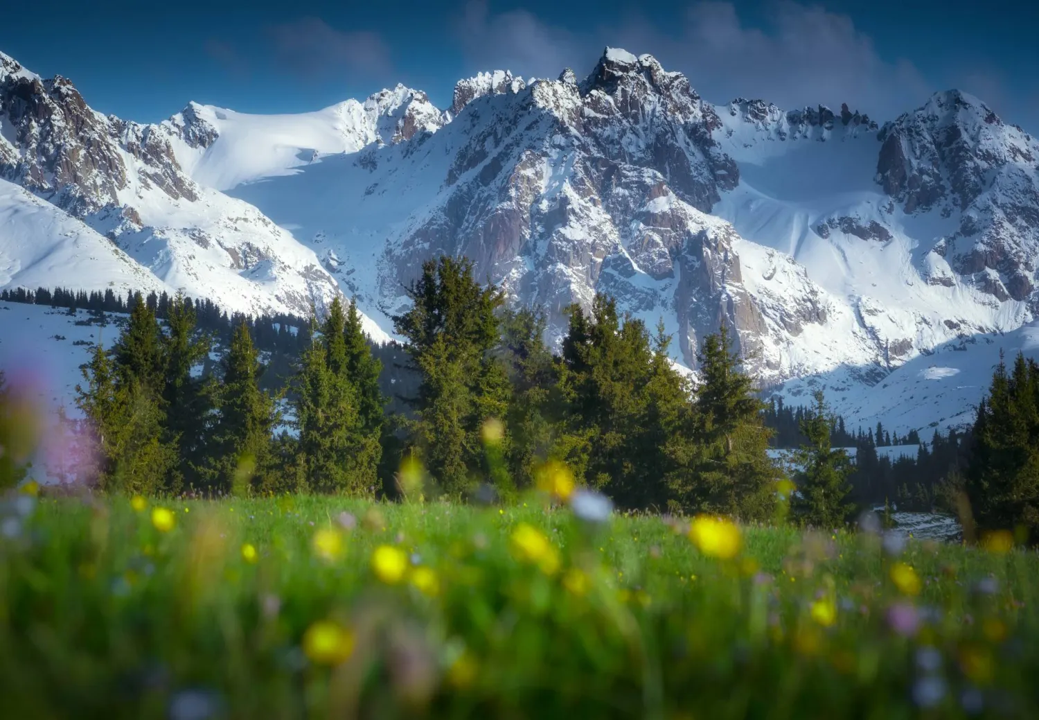 جبال تحتضن تنوعاً نباتياً ناشئاً بفعل الارتفاع ودرجات الحرارة المنخفضة (غيتي)