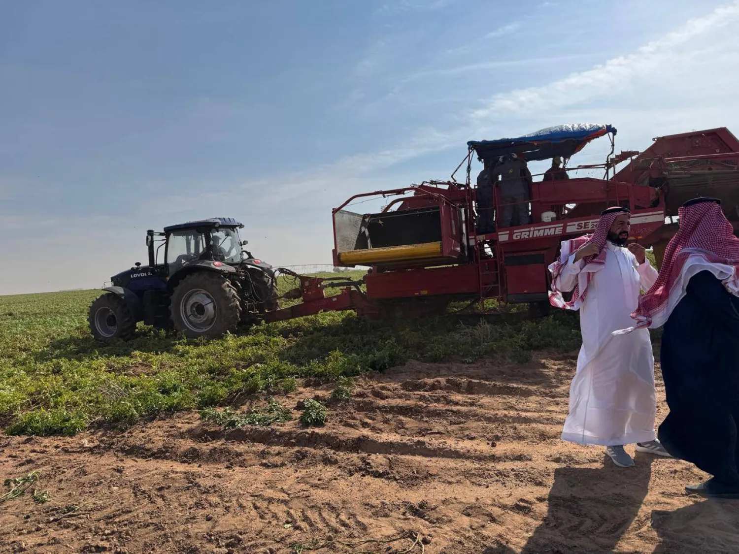 مزرعة بطاطس تابعة لشركة «لحاء» في حائل (الشرق الأوسط)
