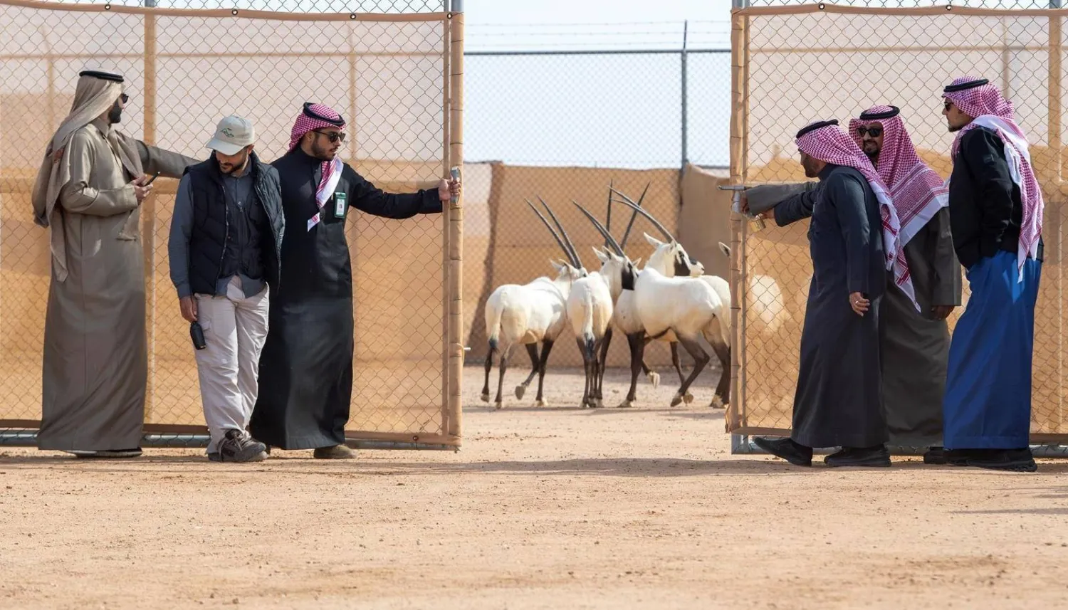 الإطلاقات تمثل خطوة إضافية نحو تحقيق رؤية المركز في تنمية الحياة الفطرية بالمملكة (واس)