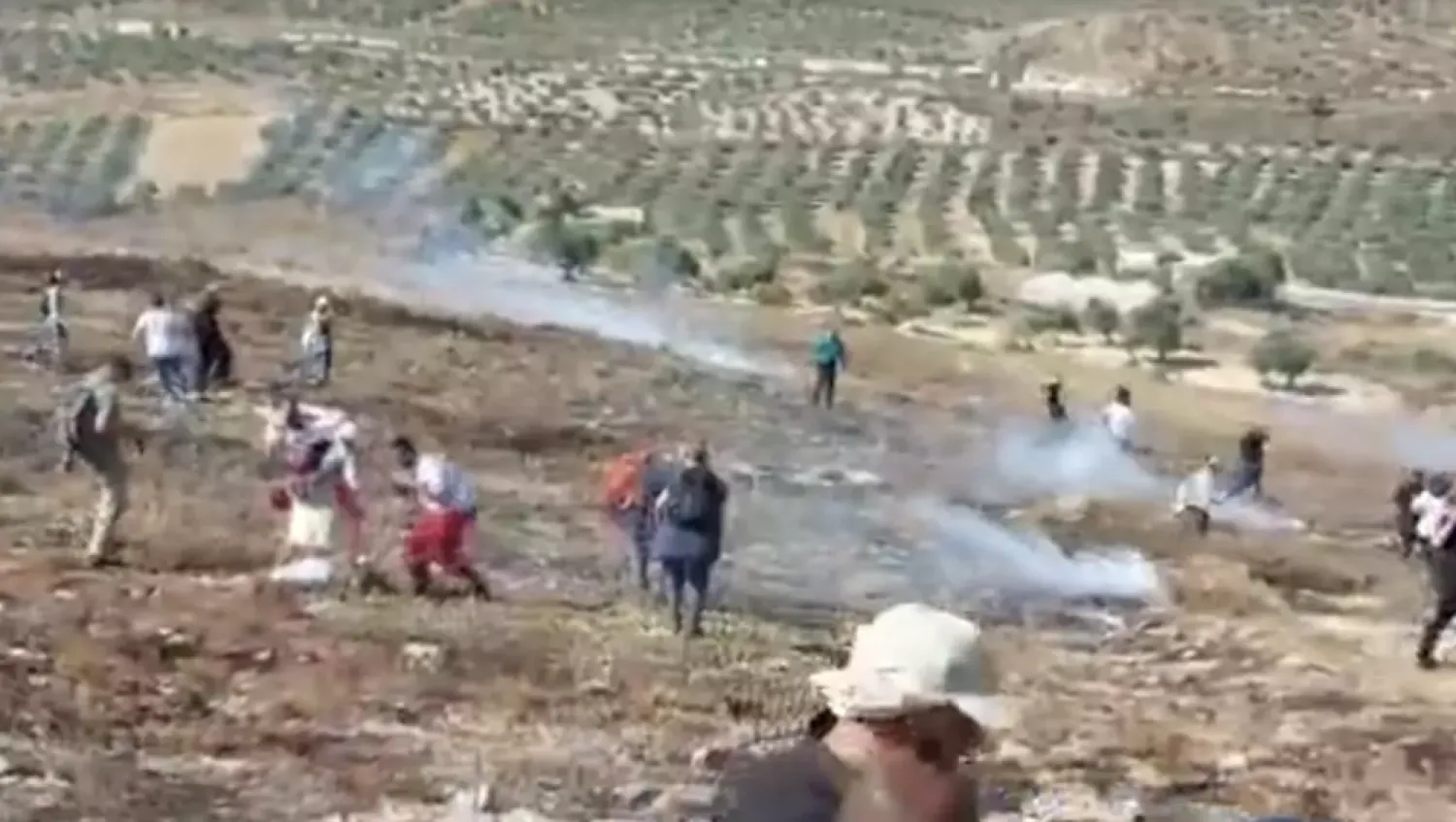 Israeli settlers attacked farmers and volunteers harvesting olives on a Palestinian farm in Burin, near Nablus, on November 8, 2025. © Observers
