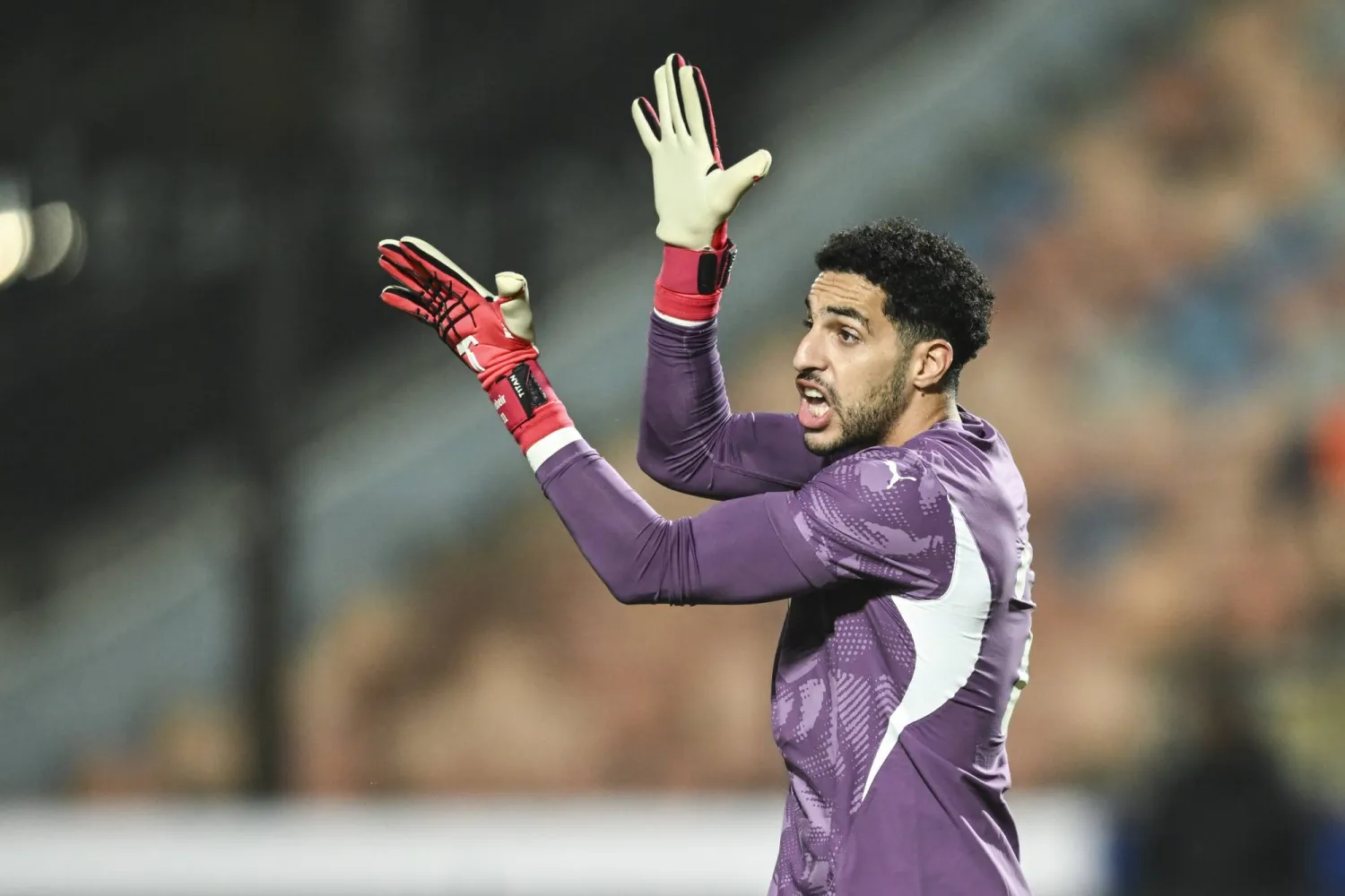 مصطفى شوبير (إ.ب.أ)