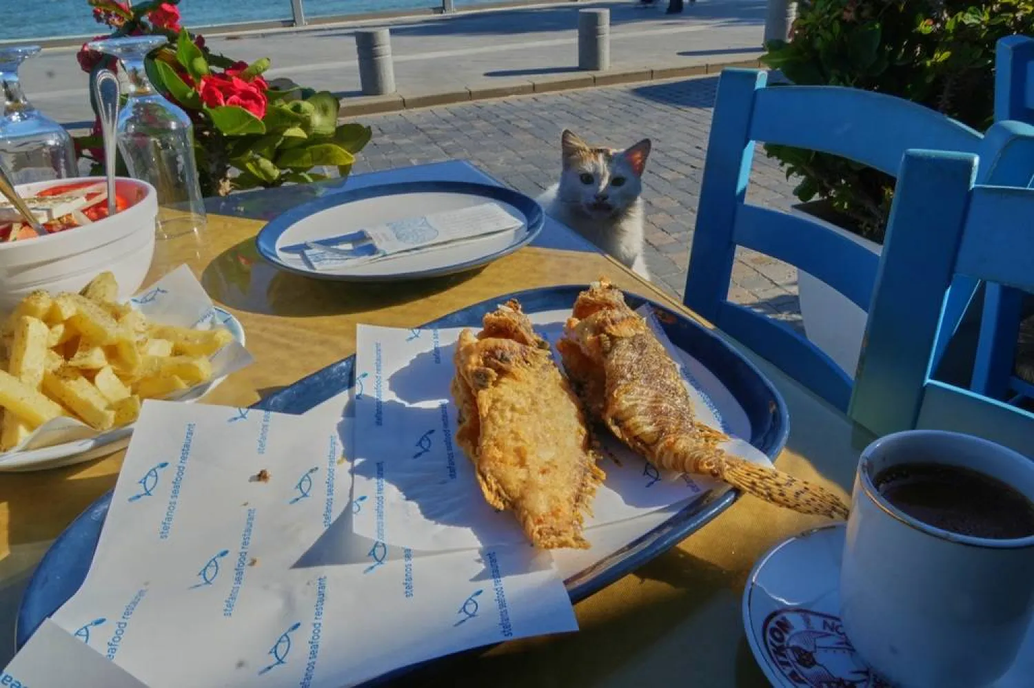  A cat stands next to a table with fried lionfish at Stefanos restaurant in Larnaca, Cyprus, in the eastern Mediterranean, Thursday, Dec. 18, 2025. (AP) 