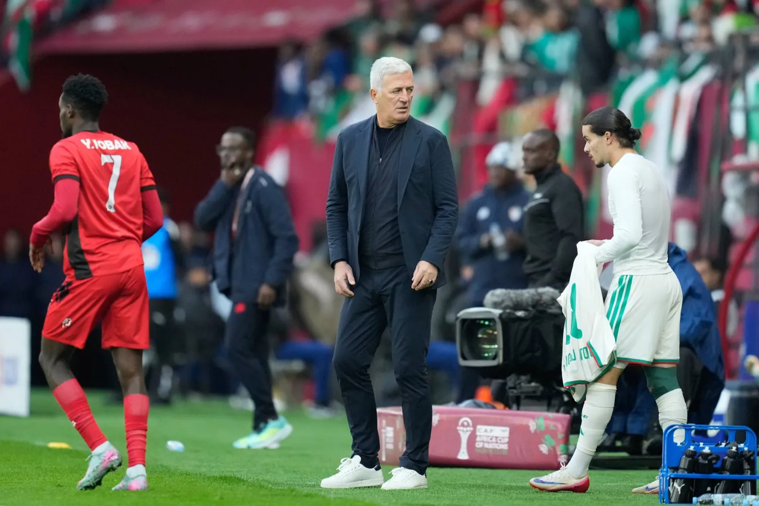 البوسني فلاديمير بيتكوفيتش مدرب الجزائر (أ.ب)