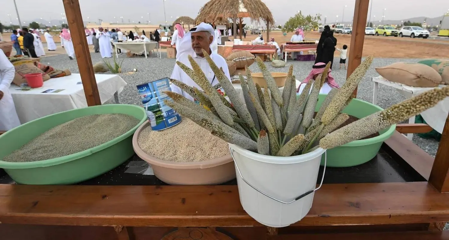 بيع محصول الدخن في جنوب السعودية (واس)