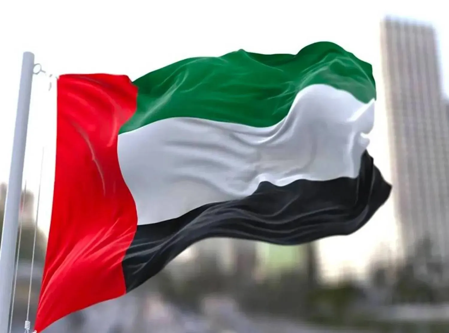 The UAE flag. (WAM)