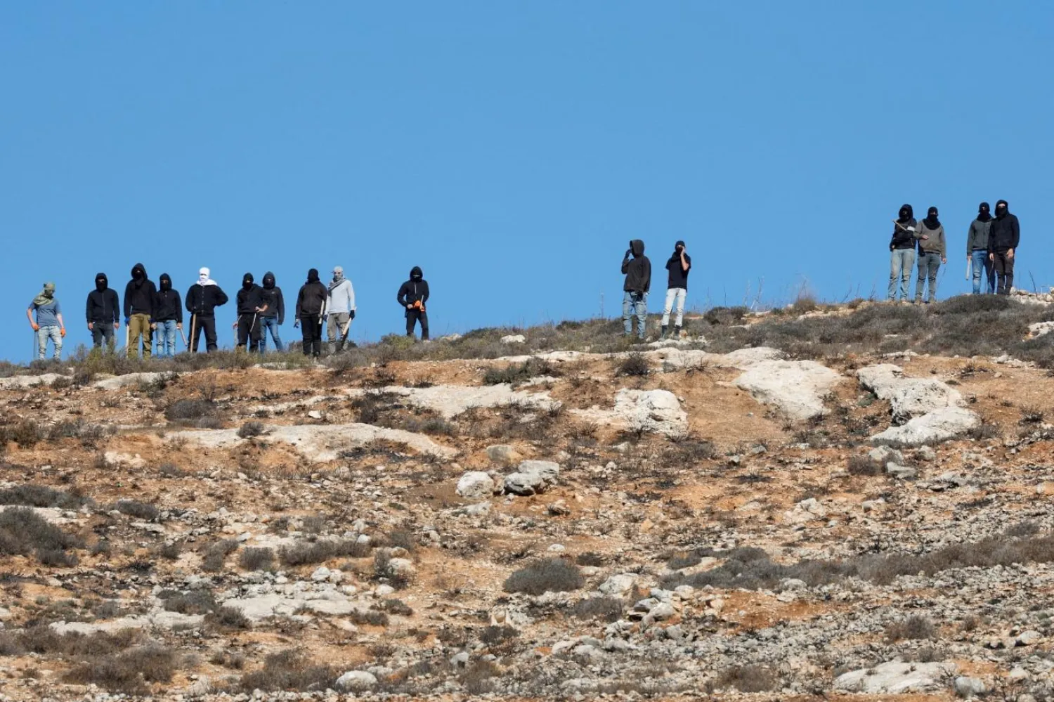 Sınır bölgelerinde örgütlenen Yahudi yerleşimciler, Filistinlilere ait tarım alanlarına ve bağlara saldırıları artırıyor (Reuters)