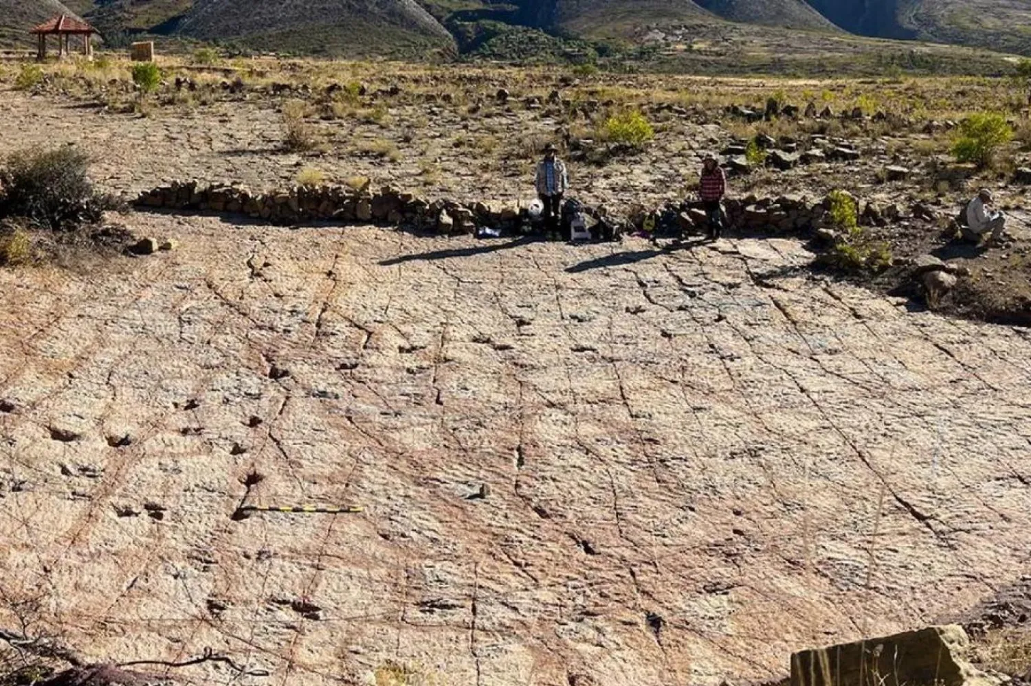 7 bin 485 metrekarelik alanda farklı türden dinozorların bıraktığı çeşitli izler bulundu (PLOS One)