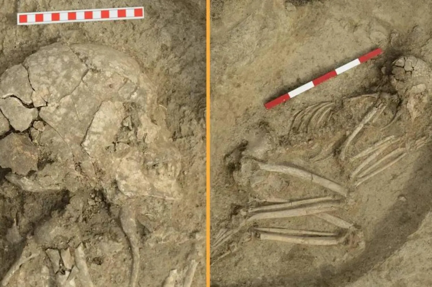 Fotoğraf: Veselin Danov