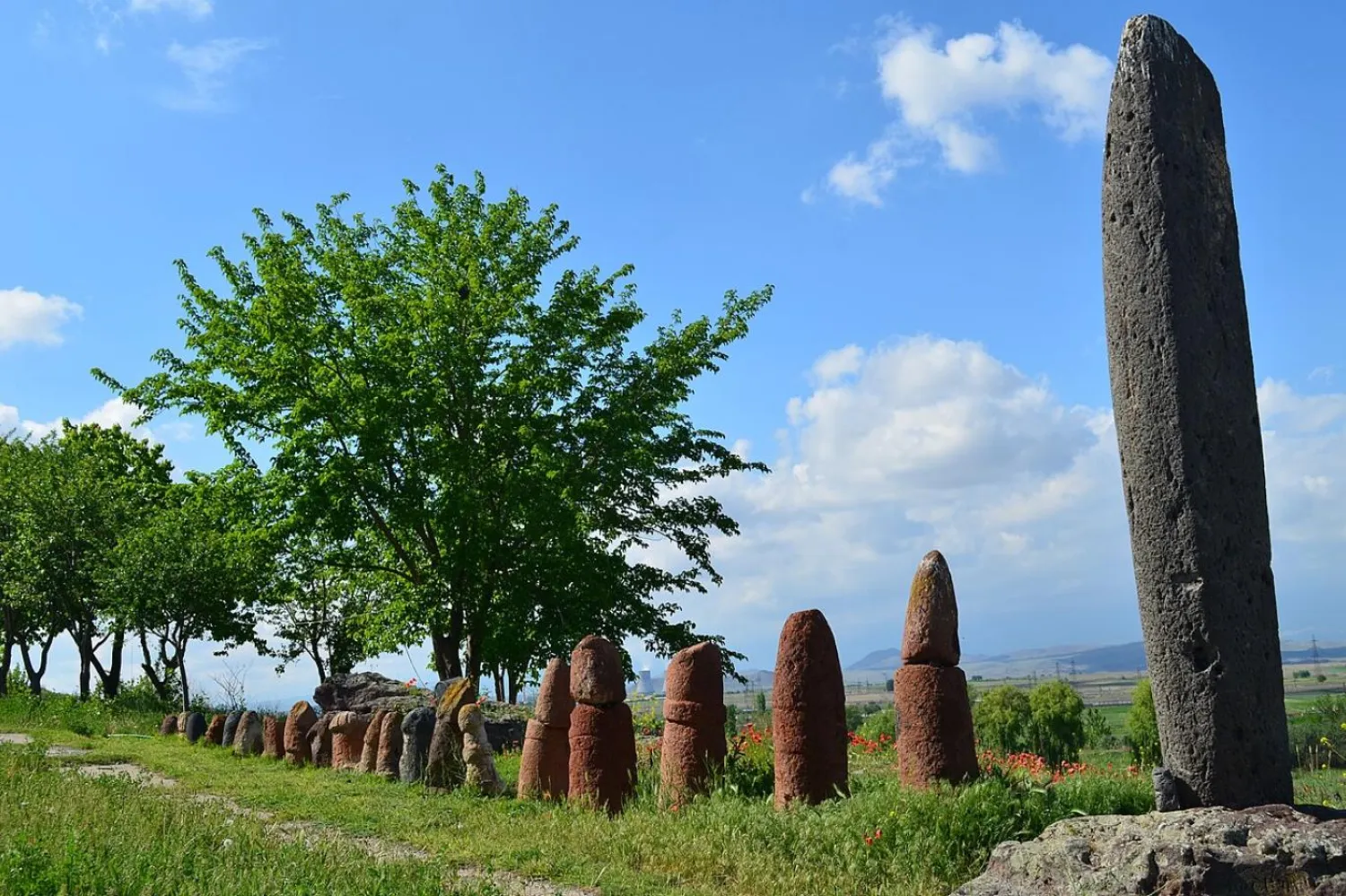 Fotoğraf: Wikimedia Commons