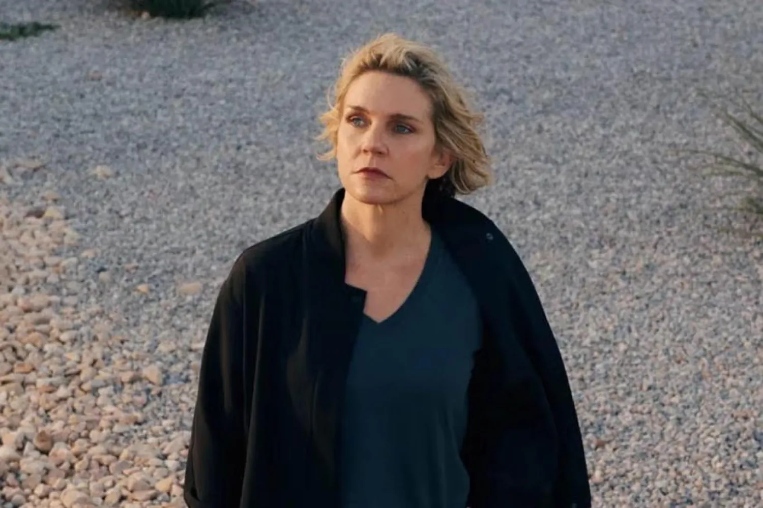 Rhea Seehorn, Pluribus'ta (Apple TV+)