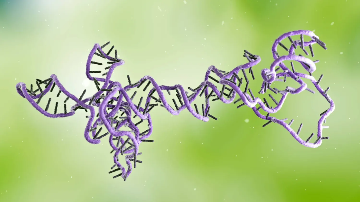 أجزاء من الحمض النووي الريبي (آر إن إيه) شبيهة بالفيروسات عُثر عليها وهي تتكاثر بالبكتيريا الموجودة في فم الإنسان وأمعائه