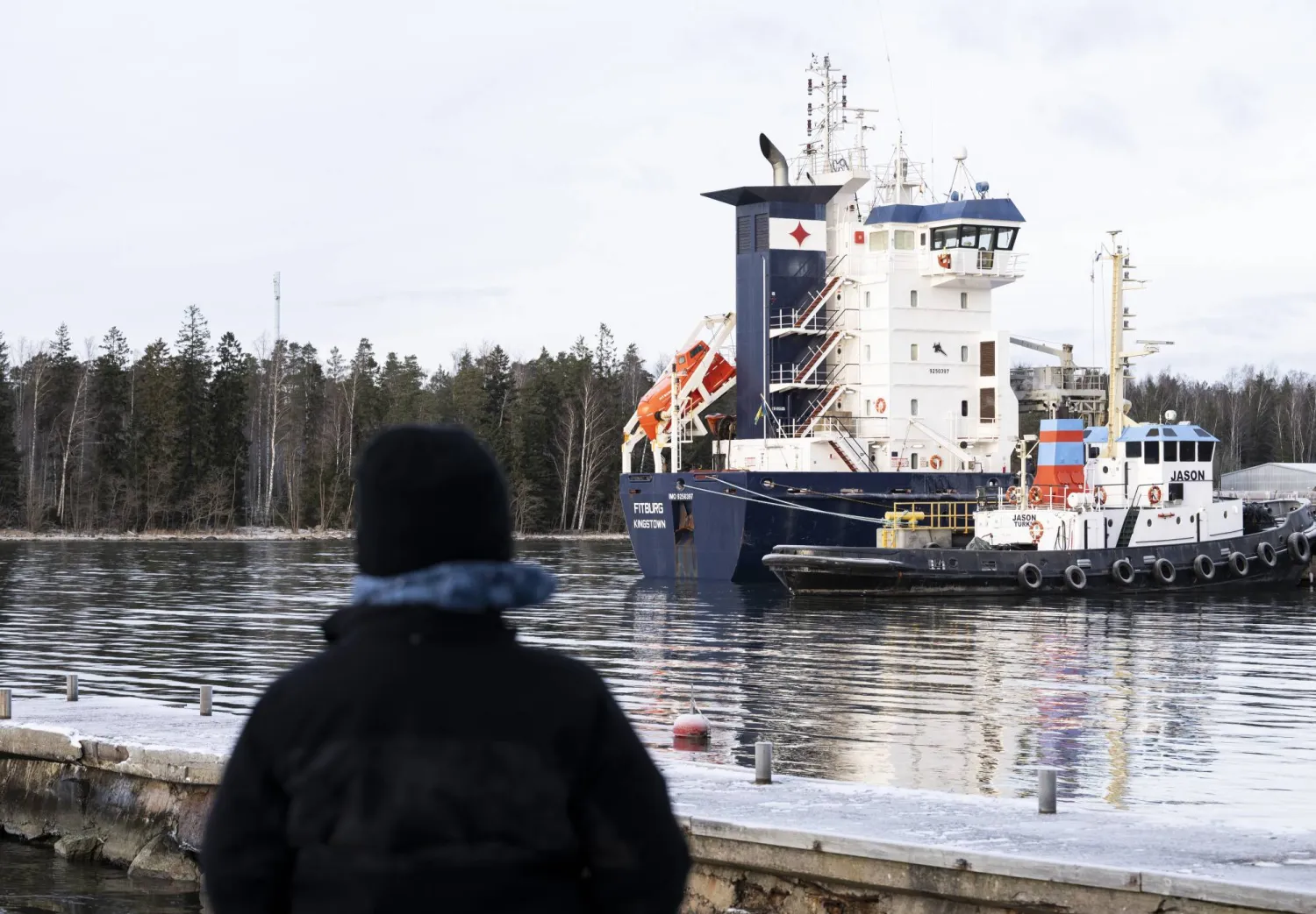 سفينة الشحن «فيتبورغ» (إ.ب.أ)