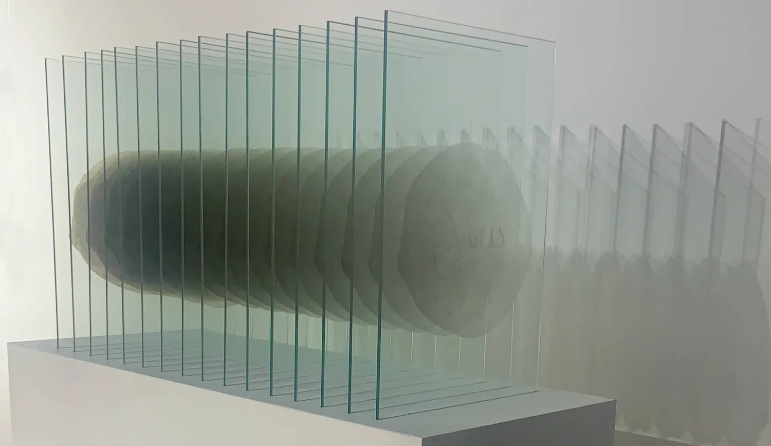 عمل بعنوان «سلام»  (الفنان)