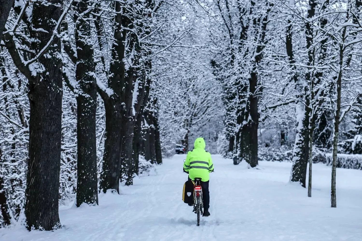 الشتاء ليس فراغاً... إنه مساحة لإعادة التوازن (إ.ب.أ)