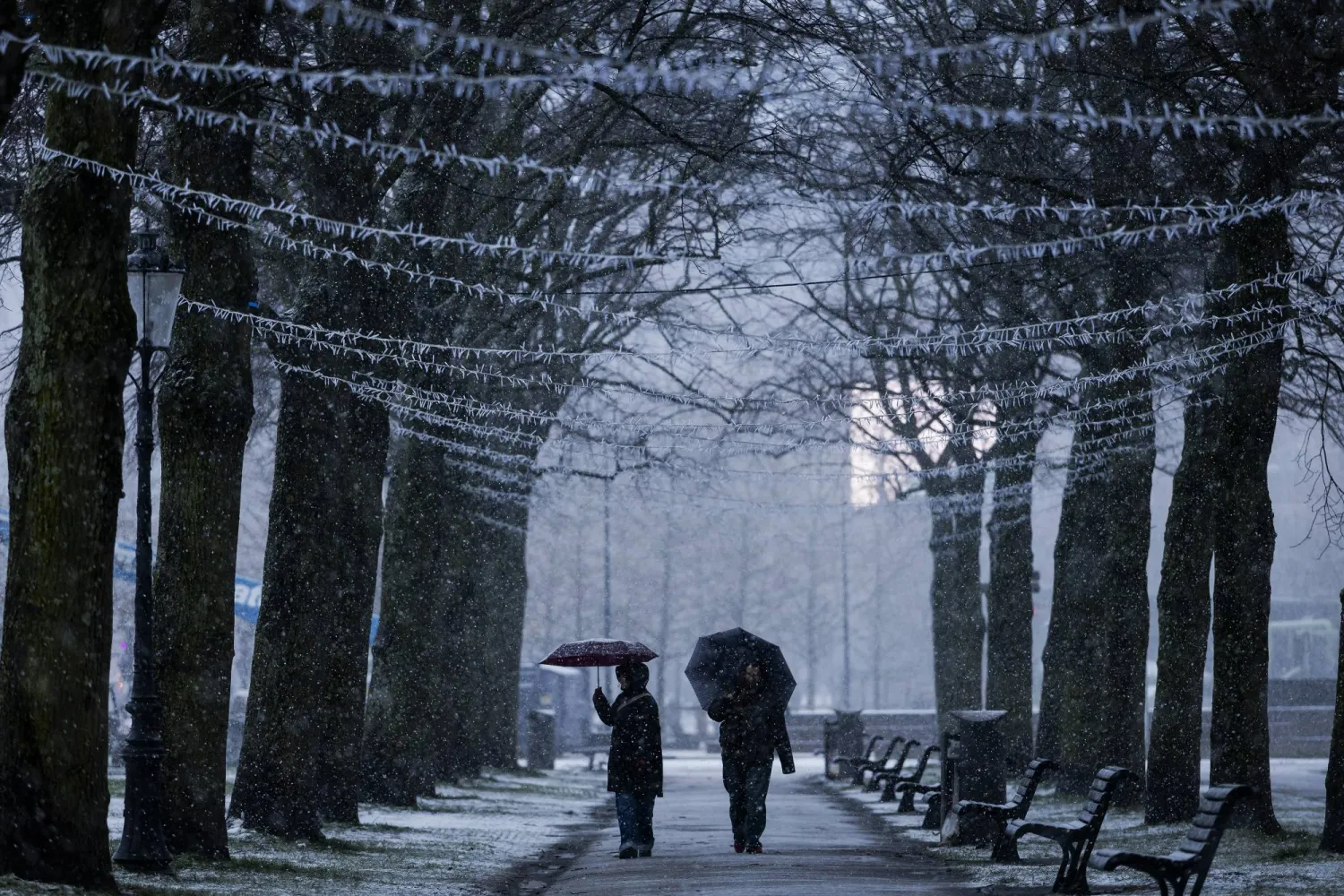 People walk through a winter shower with umbrellas in Amsterdam, the Netherlands, 04 January 2026. (EPA) 