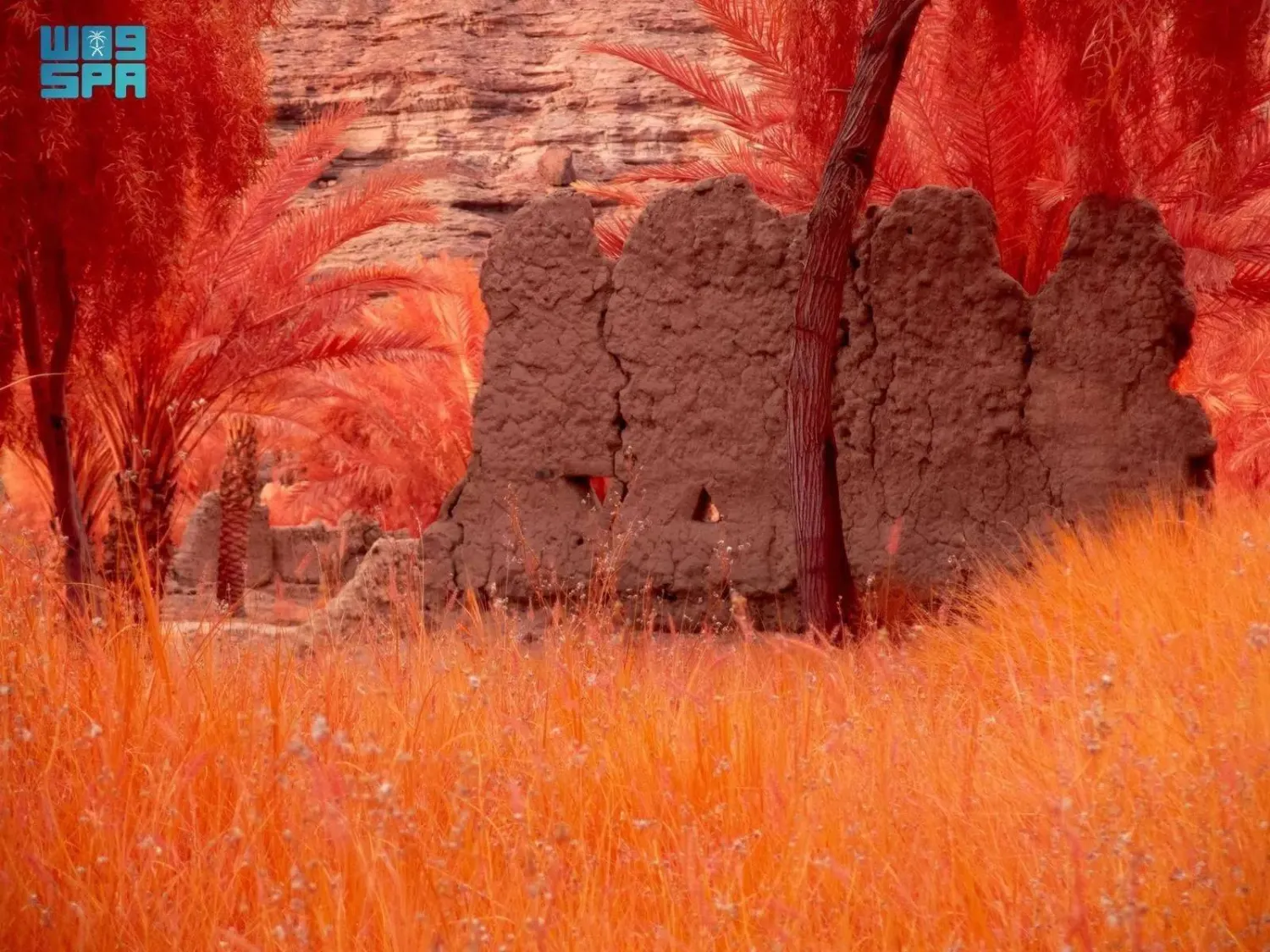 The exhibition will feature more than 80 significant artworks by artists from Saudi Arabia, the Middle East and North Africa, and around the world. (SPA)